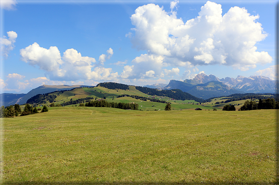 foto Alpe di Siusi